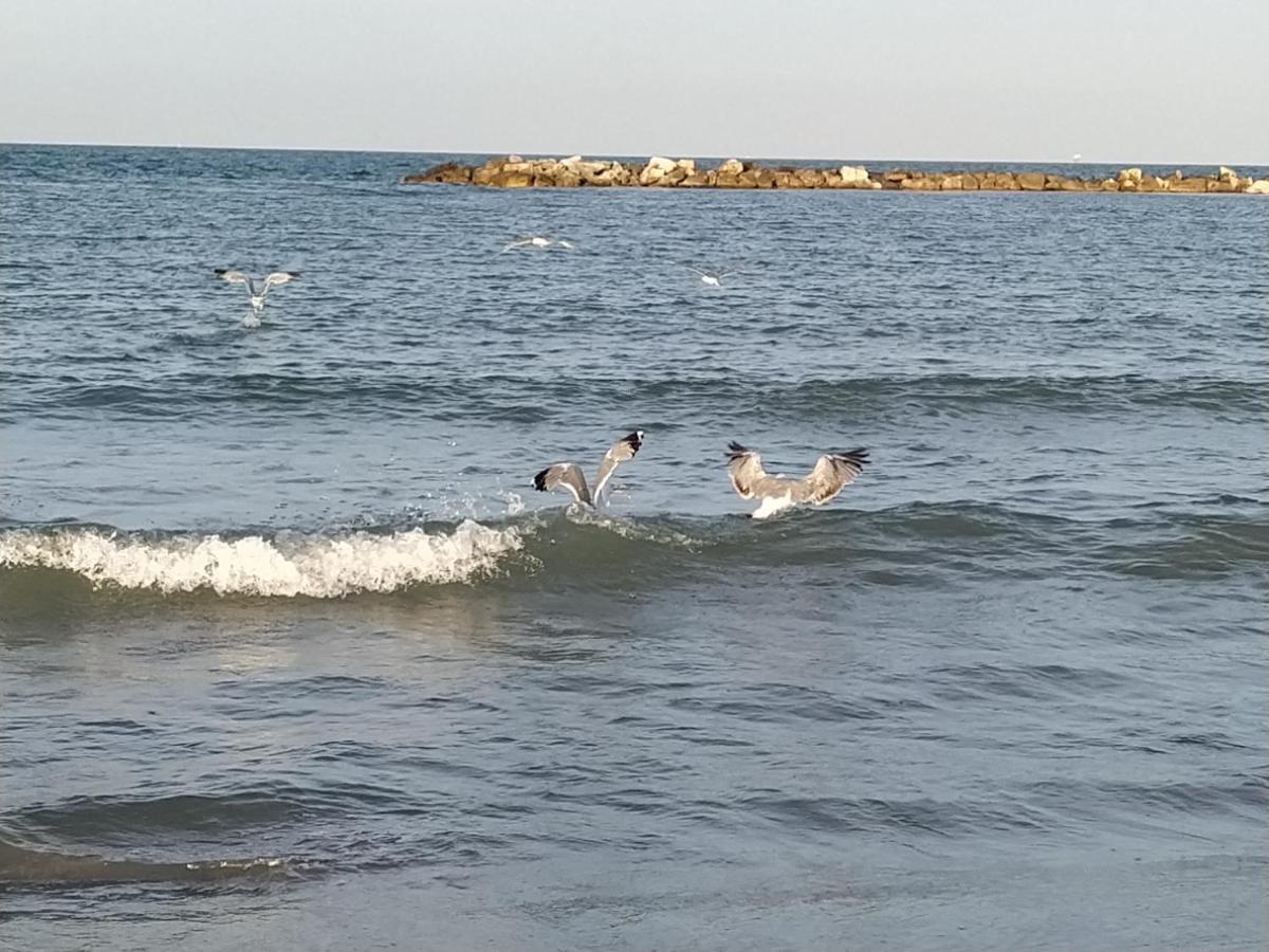 Сasa de vacaciones Al Civico 2 Rávena